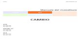 CAMBIO - Shimanodi ﬁne corsa Arresto forcellini forcella 8 - 10 N·m NOTA • Verificare periodicamente che non vi sia gioco tra la linguetta del forcellino e la piastrina di fine