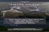 Presentazione Circus Amleto · 2018. 9. 27. · che, usando brandelli dell’Amleto, ricostruisce una vicenda di eterne pulsioni umane, che solo l’Arte e il Teatro possono esprimere