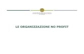 LE ORGANIZZAZIONE NO PROFIT - unicz.it · 2019. 11. 24. · Le Organizzazioni no profit -Classificazione (8) - Driver di classificazione AZIENDALE GIURIDICO-ISTITUZIONALE FISCALE
