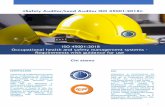 «Safety Auditor/Lead Auditor ISO 45001:2018»...• Conoscenza norma UNI EN ISO 19011:2018 e delle interrelazioni tra essa e la UNI ISO 45001:2018. • Conoscenza normativa / legislativa