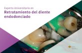 Experto Universitario en Retratamiento del diente endodonciado · 2020. 10. 19. · endodoncia, la reconstrucción post-endodóncica y la cirugía apical con la participación intensa
