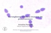 Sorveglianza infezioni invasive da pneumococco · 2012. 3. 6. · Sorveglianza infezioni invasive da pneumococco Annalisa Pantosti Istituto Superiore di Sanità Workshop: Sorveglianza