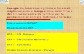 Energie da biomasse agricole e forestali: miglioramento e … · 2014. 12. 18. · Centro Ricerche Biomasse - Perugia Finanziamento MiPAAF Coordinamento CRA. Ottimizzazione della