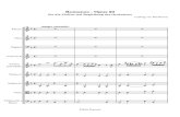 Romanze - Opus 50archive.org › download › Cantorion_sheet_music...fur die Violine mit Begleitung des Orchesters Romanze - Opus 50 principale. Violino Violino I. Violino II. Viola.