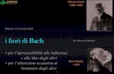 Edward Bach 1886-1936 - Cemon · 2019. 1. 17. · Edward Bach era impavido in tutte le situazioni, specialmente quando qualche limitazione o restrizione cercava di bloccare il suo