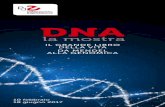 DNA - Pikaia · 2017. 2. 2. · parte storica, dove vengono ripercorse tutte le tappe ... con uno speciale focus dedicato alla genetica forense e allo studio del DNA di specie estinte.