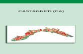 CASTAGNETI (CA) - La Mia LiguriaCASTAGNETI (CA) I tipi forestali della Liguria 159 In generale si tratta di cenosi a dominanza di castagno, che rappresenta circa il 70% della composizione