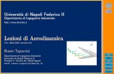 Universit a di Napoli Federico II Lezioni di Aerodinamica ...wpage.unina.it/rtogna/Lezioni_di_Aerodinamica_2018-19.pdf · PDF file 1 = ˆ 1V 1L 1 = V 1L 1 (12) L: lunghezza di riferimento