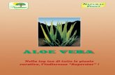 ifl Aloe int29 7 05 - erboristeriarcobalen · 2020. 10. 8. · Nel suo stato naturale l’Aloe Vera contiene: • Polisaccaridi5 (Acemannano, Glucomannano): sono i componenti biologi-camente