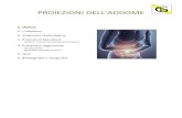 Proiezioni dell'Addome - TSRMPROIEZIONI DELL'ADDOME 0. INDICE 1. L'addome 2. Anatomia Radiologica 3. Proiezioni Standard - Antero- Posteriore (supino/ortostasi) 4. Proiezioni Aggiuntive