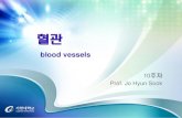 blood vessels - KOCWcontents.kocw.net/KOCW/document/2015/gachon/johyunsook/9.pdf · 2016. 9. 9. · 혈관 blood vessels . 대혈관(great vessel) - 심장바닥의 기저부에 위치