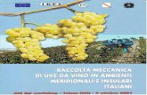 Aspetti - Pomona Campanapomonacampana.com/wp-content/uploads/2012/02/751.pdfAspetti qualitativi della vendemmia meccanica in Campania: risultati relativi al vitigno Aglianico in un'area