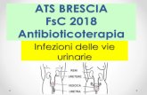 ATS BRESCIA FsC 2018 Antibioticoterapia · 2018. 12. 16. · Sondaggi d’aula sulle decisioni 4.Confronto con LLGG/PDTA 5.Ricadute comportamentali in ambulatorio. ... terica verso