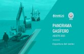 PANORAMA GASÍFERO 2020 · 2020. 11. 25. · El consumo de gas natural en Argentina cayó en el mes de agosto 2020 respecto al mismo mes del año anterior (-10,77%), con un volumen
