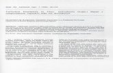 quadernibotanicambientaleappl.it · 2020. 4. 29. · GRAMUGLIO (1975), che hanno eseguito uno studio istologico su due campioni di legno provenienti da due chiese di Polizzi Generosa