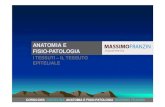 ANATOMIA E FISIO-PATOLOGIA - Massimo Franzin · 2013. 5. 3. · corso oss disciplina: anatomia e fisio-patologia massimo franzin ghiandole endocrine formate da cellule sparse o raggruppate,