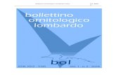Bollettino Ornitologico Lombardo online 2r2019...Bollettino Ornitologico Lombardo online 2r2019 Indice G RATTINI N., G ARGIONI A.,LAVEZZI F. Status del marangone minore (Microcarbo