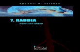 7. RABBIA · 2015. 5. 27. · La rabbia silvestre è ricomparsa nel territorio italiano nell’ottobre 2008 dopo quasi tredici anni di assenza. L’ultimo caso era stato diagnosticato