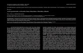 Arte parietale a Grotta San Martino (Toritto, Bari) p...Preistoria Alpina, 46 I (2012): 101-103 101 La Grotta San Martino si apre a 287 m s.l.m. lungo il costone di una incisione carsica
