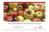 DIVERSIDAD GENÉTICA DEL MANZANO EN EUROPA Curriculum … · 2020. 2. 28. · Diversidad genética del manzano en Europa JORGE URRESTARAZU jorge.urrestarazu@unavarra.es. Curriculum