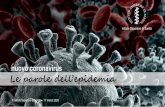 nuovo coronavirus Le parole dell’epidemia...Il caso primario, o come viene indicato dai mass media il "paziente zero", è il responsabile della origine del focolaio infettivo. Il