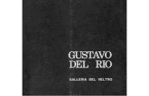 Catalogo3 - Gustavo Del Rio...La presente pubblicazione è uscita in occasione della personale del pittore Gustavo del Rio. Galleria del Veltro. 20 febbraio 1973 Tutti i diritti riservatiGUSTAVO
