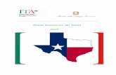 Profilo Economico del Texas 2015 · 2017. 12. 19. · Geografia politica e fisica. 19 . Clima. 20 . Ambiente . 21 . Demografia . ... 11 Kimberly Clark 126 Irving 19,115.0 12 Plains