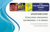 CONCORSO ORDINARIO SECONDARIA II GRADOgildainsegnanti.it/.../02.Concorso-ordinario-secondaria.pdf · 2020. 4. 30. · CONCORSO ORDINARIO SECONDARIA I E II GRADO A cura di Carmine