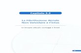 Capitolo 2.2 La Fibrillazione Atriale Non Valvolare e l’ictuscorsi.serverfad.it/data/146/dir_documenti/Capitolo-2.2.pdf · 2014. 11. 10. · Per quanto riguarda la Fibrillazione