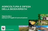 AGRICOLTURA E DIFESA DELLA BIODIVERSITA’enrd.ec.europa.eu/enrd-static/fms/pdf/AB8B1E17-AA93-4B09...Biodiversità - Sistemi di coltivazioni a bassa intensità Dagli anni ’90 crescente