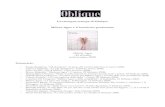 La rassegna stampa di Oblique Milena Agus e il buonismo … · 2008. 3. 8. · sentieri dei nidi di ragno e il Pin di Italo Calvino, che serviva peraltro a restituire uno sguardo