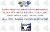 Laurea Magistrale Internazionale interateneo SCIENZE VITICOLE ED … · 2020. 3. 11. · Enologia: operazioni unitarie e dei processi di trasformazione delle uve. SYLLABUS Laurea