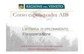 Corso caposquadra AIB - Veneto · 2012. 11. 5. · lotta AIB, utilizzando piccoli aerei, equipaggiati con serbatoi ventrali, si passò poi all'uso di un elicottero Agusta Bell 47