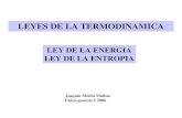 LEY DE LA ENERGIA LEY DE LA ENTROPIA...con la primera ley de la termodinamica la primera ley es determinista(no esta sujeta a fluctuaciones debido al azar) mientras que la segunda