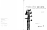 Meraviglie Meraviglie sonore STRUMENTI MUSICALI DEL BARO CCO ITALIANO Firenze, Galleria dell'Accademia