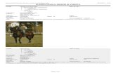 ELENCO CAVALLI MASCHI IN VENDITA - Anam Cavallo ......SITO WEB Pagina 1/26 Associazione Nazionale Allevatori cavallo di razza Maremmana 06/04/2010 - 13:22 ELENCO CAVALLI MASCHI IN