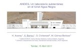 ANDES, Un laboratorio subterraneo´ en el tunel Agua Negra´ · ANDES, Un laboratorio subterraneo´ en el tunel Agua Negra´ H. Asorey 1, X. Bertou , O. Civitarese2, M. Gomez Berisso´