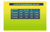 Livelli di Fumonisina B1 nel mais Medicina Vegetale/Atti Anno... · 2014. 12. 30. · Da Dario Friso, Università Statale, Milano RANK Impresa Paese Vendite Alimentari % vendite Addetti