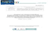 Codice: II.2c.2.1 PPAY - Home page | Regione Piemonte · 2019. 3. 29. · 1 ALLEGATO 1 Programma Operativo Regionale “Investimenti a favore della crescita e dell’occupazione”