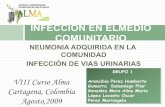 Academia Latinoamericana de Medicina del Adulto Mayor ...por Legionella, 7-10 días, si se emplea azitromicina. Med Intensiva 2005;29(1):21-62 ! 180 pacientes con score de neumonia