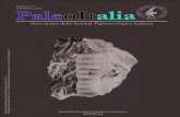 Numero 19 PDicembre 2008aleoItaliapaleoitalia.org/media/u/archives/PaleoItalia_19_1.pdf · 2011. 2. 11. · Tav. C, fig. 3a. La specie è oggi nota come Orthocycloceras fluminese