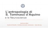 L’antropologia di S. Tommaso d’Aquino...Parte I: le Basi Neurofisiologiche in Tommaso d’Aquino dell’Antropologia Duale La distinzione fra immutatio naturalis e spiritualis