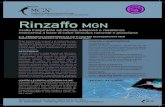 MGN Intonaci - MATERIALI A BASE DI CALCE NATURALE ......Rinzaffo MGN MGN Via Lago di Costanza, 36015 Schio VI, Italia tel. 0445.576.402 - info@mgnintonaci.it - PRODOTTO PER LA BIO