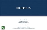 BIOFISICA - Università degli Studi di Milano-Bicocca · 2019. 3. 22. · Biofisica @UNIMIB: Giuseppe Chirico, Maddalena Collini, Laura D’Alfonso, Laura Sironi Mykola Borzenkov,