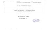DSS colabeton 30 Maggio 2013 · 2016. 9. 9. · DSS – CAVA CISTIO - RIMAGGIO 6 Collaboratori esterni delle Unità produttive (indicare attività): Autotrasportatori di inerti Le