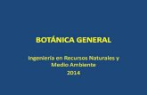 BOTÁNICA GENERAL · 2015. 9. 30. · BOTANICA GENERAL Author: Your User Name Created Date: 8/20/2014 3:33:07 PM ...