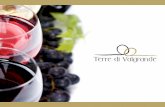 Produrre vino è un’arte - Terre di Valgrande | Vinigni internazionali come il Cabernet, il Merlot e lo Chardonnay che completano le varietà. Il tipo di impianto utilizzato per