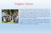 Progetto Falcone - Istituto Comprensivo "Paesi Retici" Sondrio · 2017. 8. 30. · C hanno organizzato una mostra su Giovanni Falcone a 25 anni dalla morte, inaugurando anche un “AlberoFalcone”.