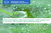 Strategia Nazionale Idrogeno Linee Guida Preliminari · 2 Il presente documento intende esporre la visione di alto livello del Governo italiano sul ruolo che l’idrogenopuò occupare