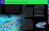 La piccola fauna del parco - Città metropolitana Milano · 2019. 8. 24. · Realizzato nell’ambito del progetto: “Biodiversità, la chiave per il futuro dell’area metropolitana”,